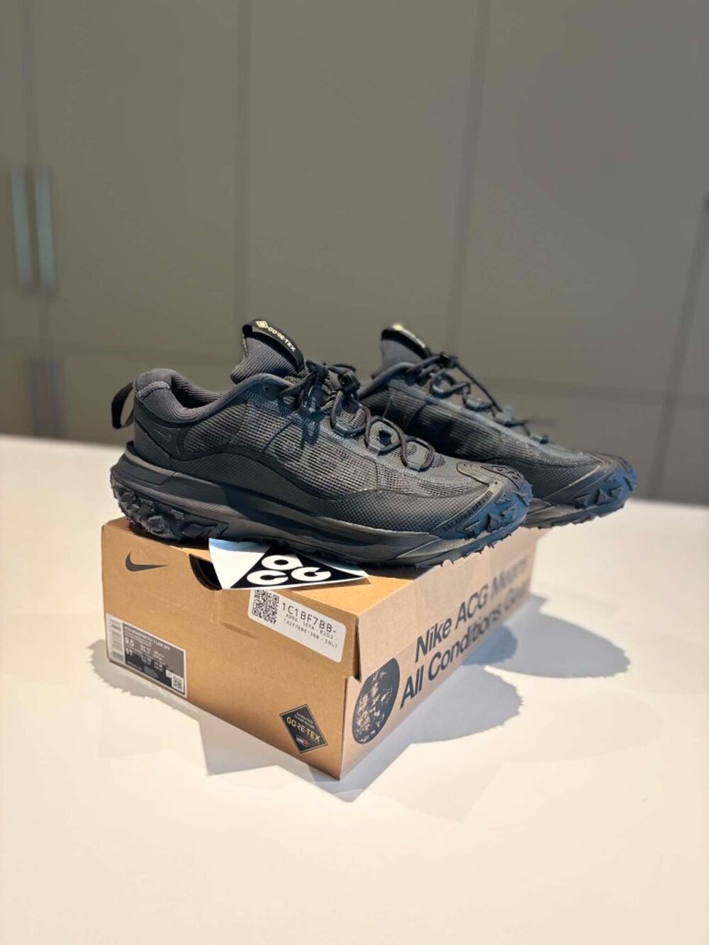 Nike ACG Mountain Fly 2 Low Dark Smoke Grey / Gore-Tex / Size 9.5 US